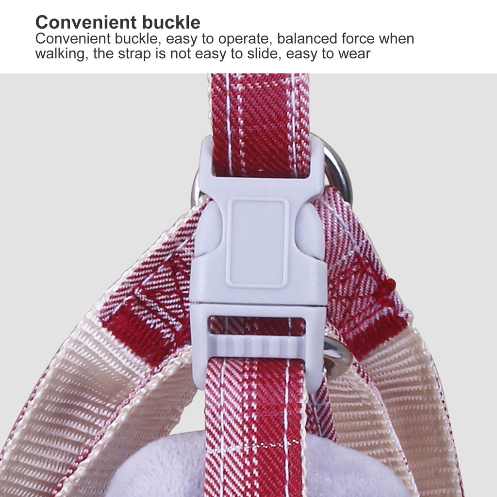 Dây Dắt Thú Cưng Đi Dạo Màu Sắc Tuyến Tính