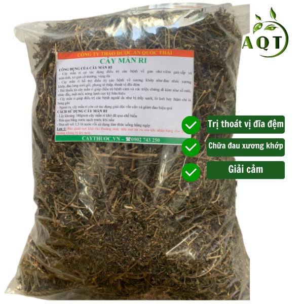 Cây Mần Ri Khô 1kg (Mới, Sạch) Chất Lượng, Màn Ri Tốt Cho Người Thoát Vị Đĩa Đệm