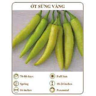 Hạt giống ớt sừng vàng - THE XANH