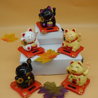 Mèo (heo) Nhật Bản vẫy tay may mắn