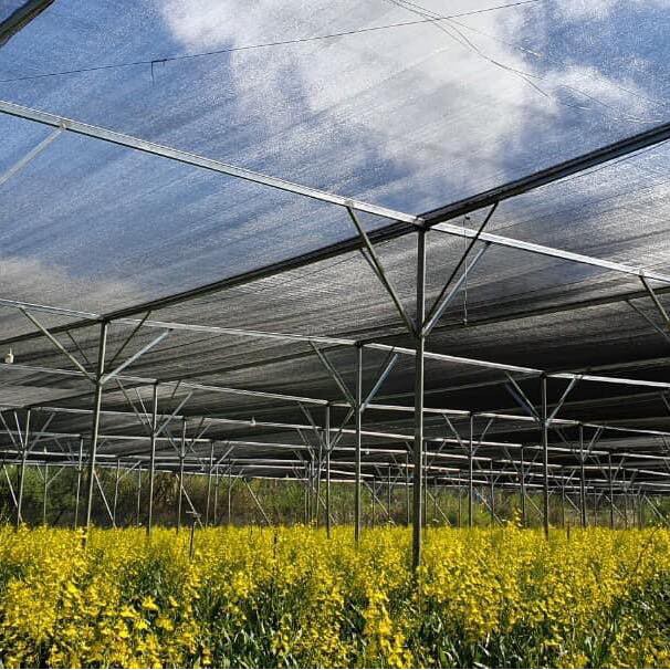 Lưới che nắng [Combo khổ 2m x 10m], che lan, lưới dệt kim 70% nhập khẩu Đài Loan siêu bền- Freeship