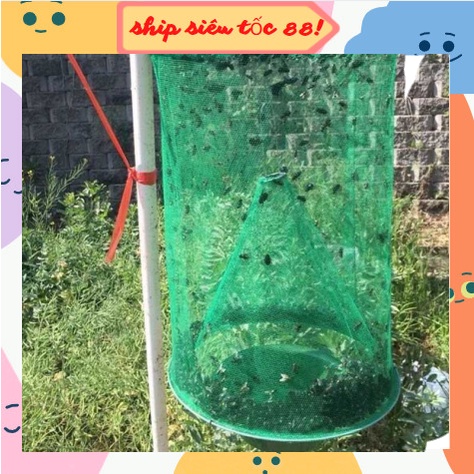 Lồng bẫy ruồi 88035 ship siêu tốc88