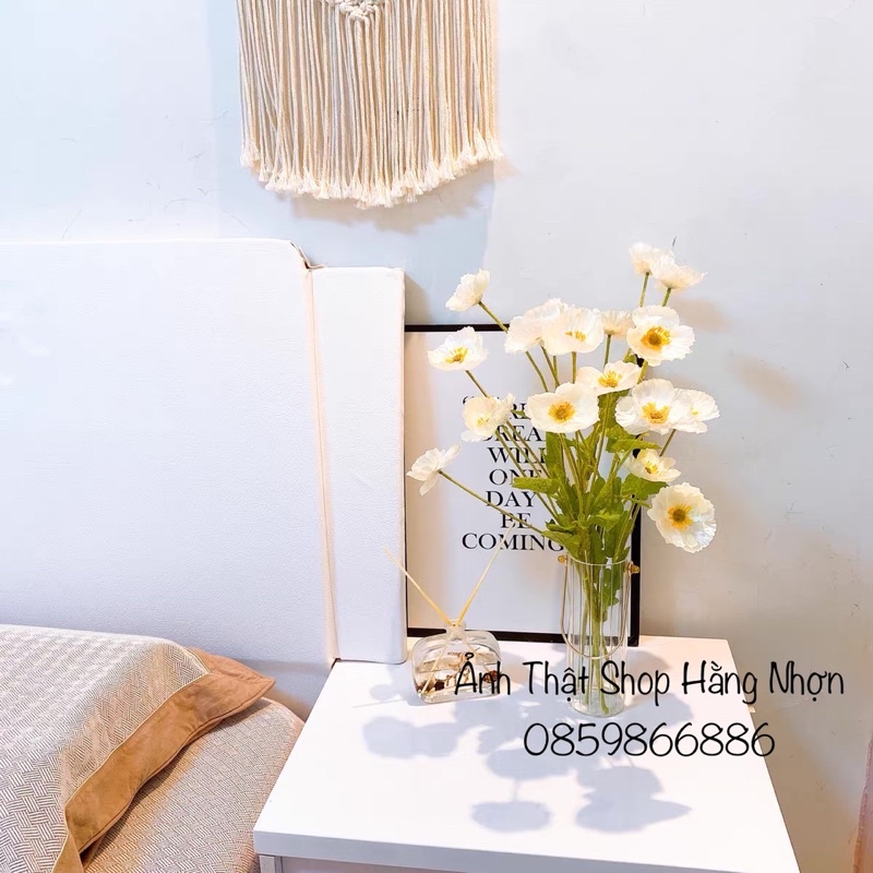HOA LỤA PASTEL HÀN QUỐC