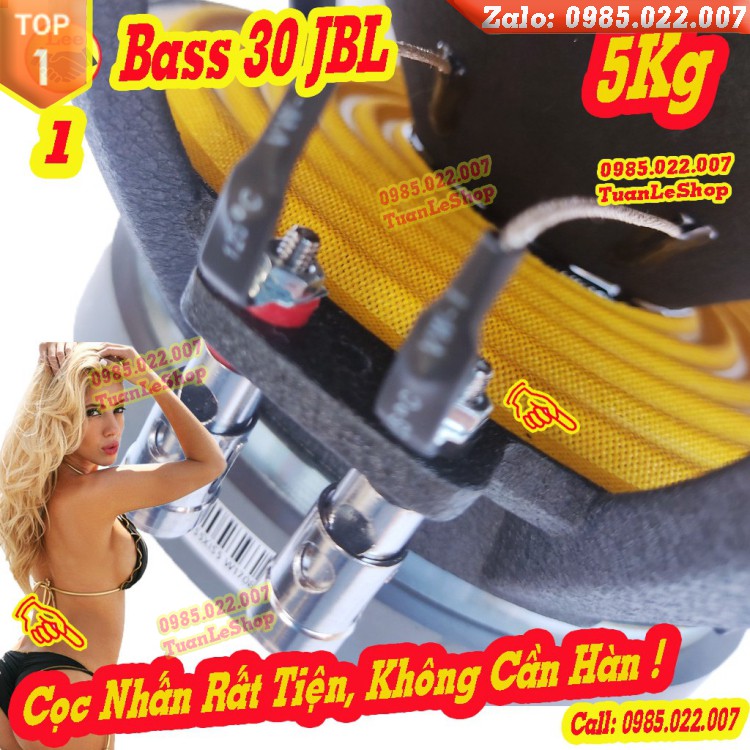 LOA BASS 30 J B L TỪ 170 COI 65.5mm – GIÁ 1 CỦ LOA BASS 3 TẤC