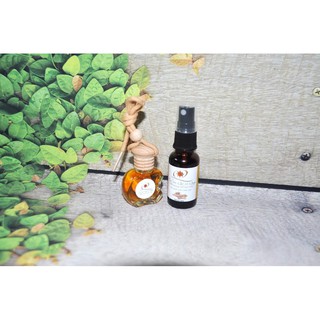 Combo Tinh dầu Quế treo xe + chai 20ml