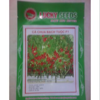 Hạt giống cà chua bạch tuộc F1
