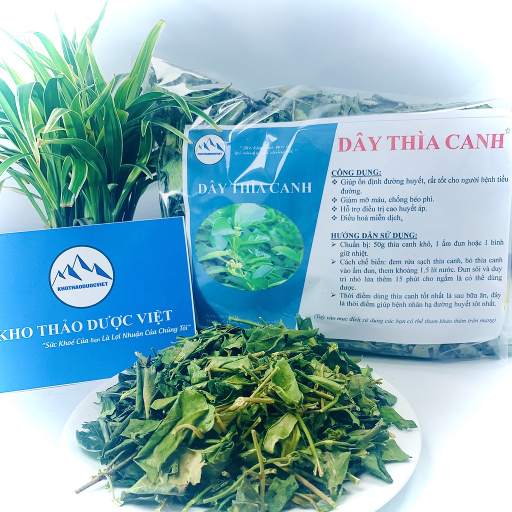 Dây Thìa Canh hỗ trợ tiểu đường, mỡ máu cao 1kg