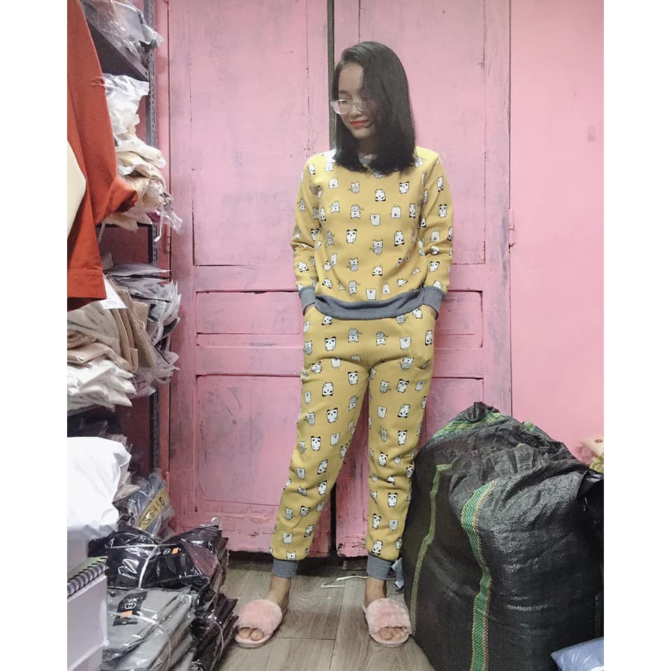 Bộ nỉ bông(ảnh thât+clip) | BigBuy360 - bigbuy360.vn