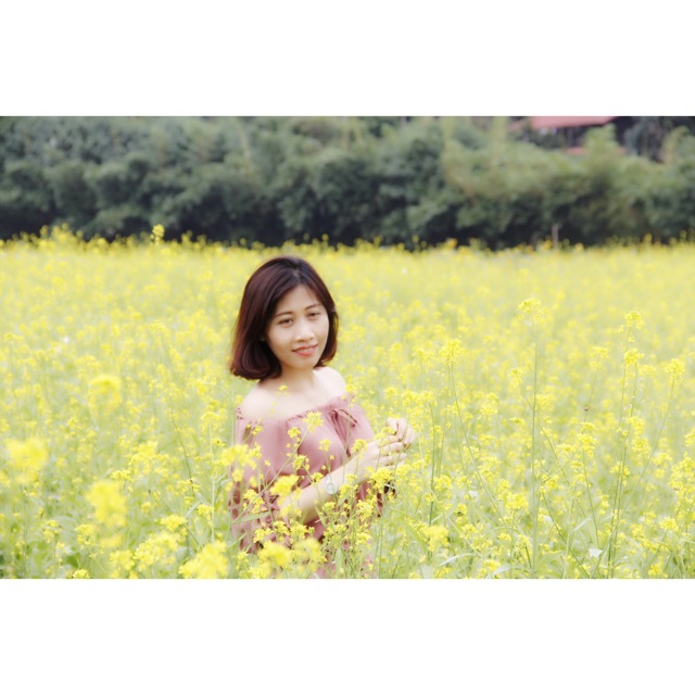 dothanh10101983