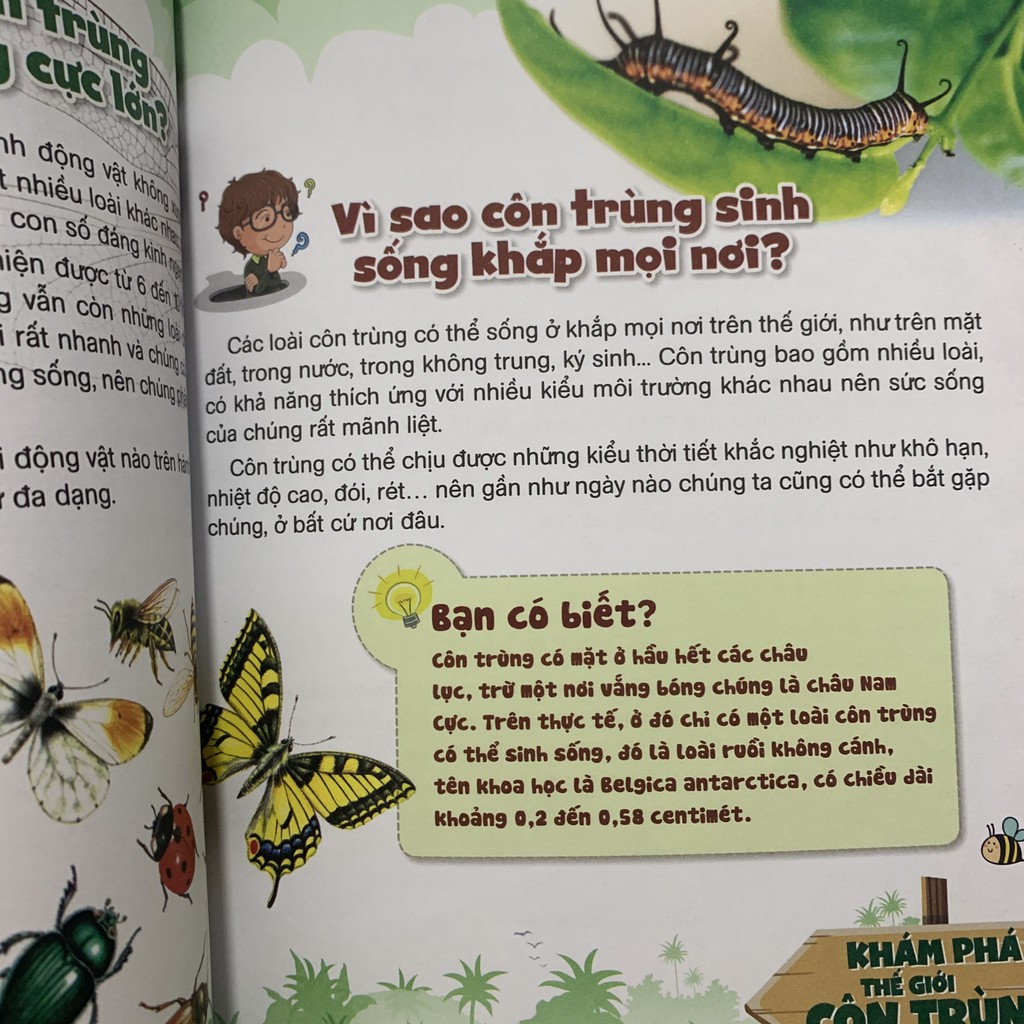 Sách - 10 Vạn Câu Hỏi Vì Sao? - Khám Phá Thế Giới Côn Trùng - 8935074120618