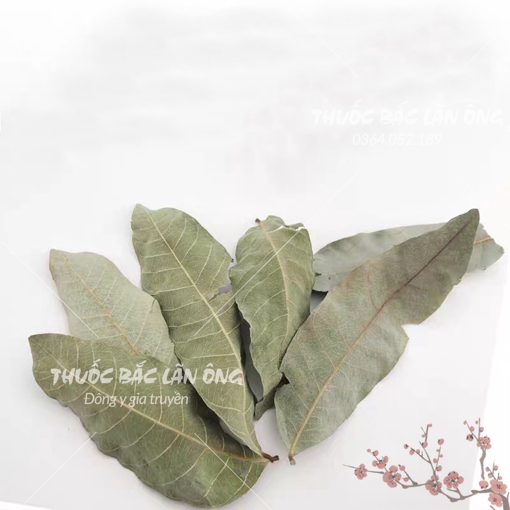 Lá ổi non phơi khô 100g
