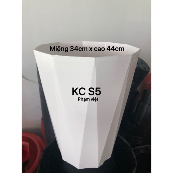 Chậu nhựa trồng cây kim cương S5