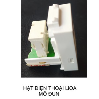 CÁC HẠT TÍN HIỆU LiOA - MÔ ĐUN