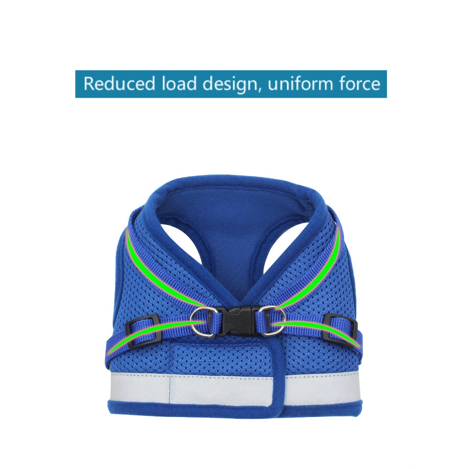 Dây dắt thú cưng đi dạo màu dạ quang tiện dụng