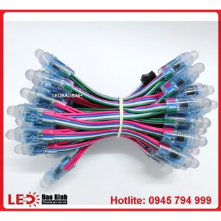 Led Full Color 1904 ( 50 bóng )