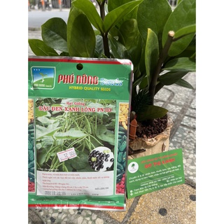 Hạt giống đậu đen xanh lòng phú nông gói 100gr
