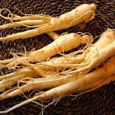 Nhân sâm tươi núi Trường Bạch 100gr/củ hút chân không