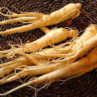 Nhân sâm tươi đóng gói 100g/củ