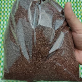 Hạt thiên niên tử