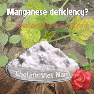 Vi lượng Mangan Chelate (Mn-EDTA-13) tan hoàn toàn trong nước (gói 100g)