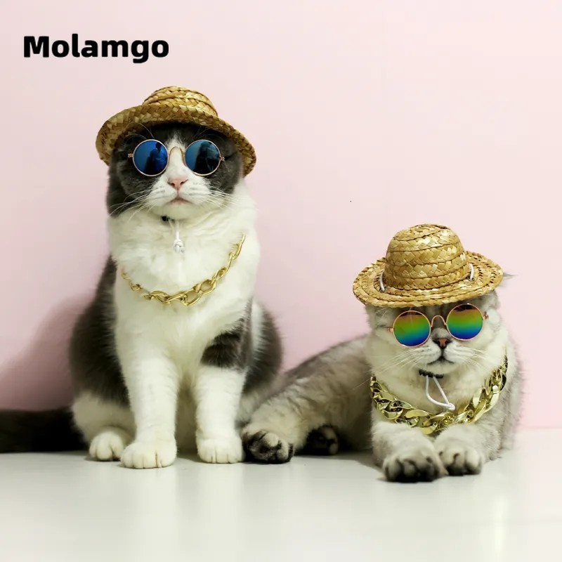 Kính Mát Thời Trang Dành Cho Thú Cưng kính cho chó mèo kính cho chó