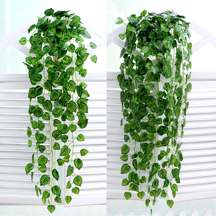 Chùm Cây dây leo lá trầu bà trang trí dưa hấu PVC