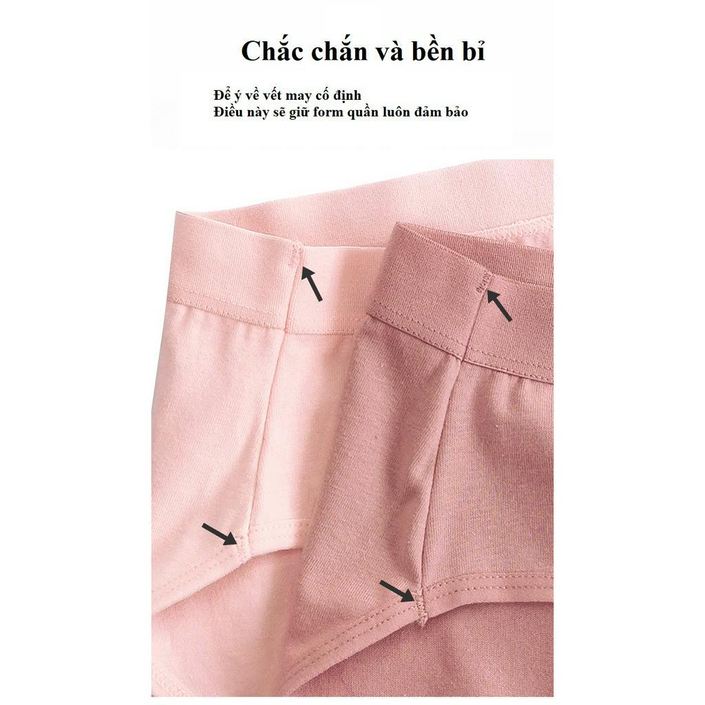 Quần lót nữ cao cấp cotton95 L2-02