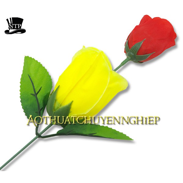 Ảo thuật hoa hồng đổi màu hàng nhập bông ôm sát không rơi khi diễn