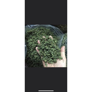 RẺ NHẤT 1KG NỤ HOA TAM THẤT