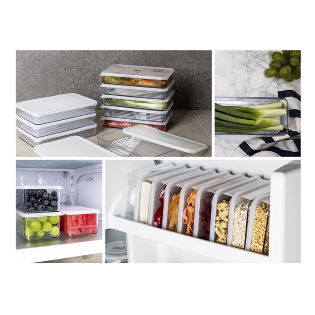 Bộ 10 hộp nhựa Silicook Hàn Quốc đựng thực phẩm tủ đông 4 cỡ an toàn và nắp đậy cao cấp
