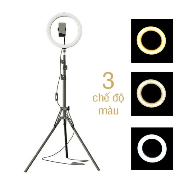 Đèn Led Livestream 26cm, 33cm (Bảo hành 1 tháng), kèm chân đèn dài 2m, có 3 chế độ sáng, hỗ trợ chụp ảnh