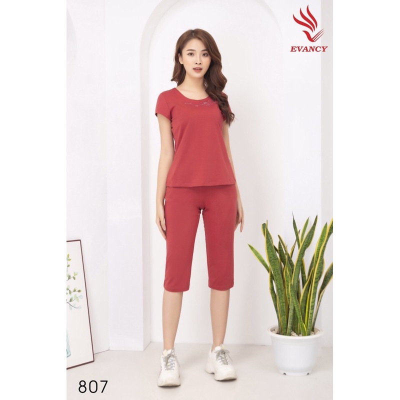 ♥️BỘ MẶC NHÀ EVANCY 807 ♥️ size ĐẾN 70kg🌼 Thiết kế đơn giản dễ mặc | BigBuy360 - bigbuy360.vn