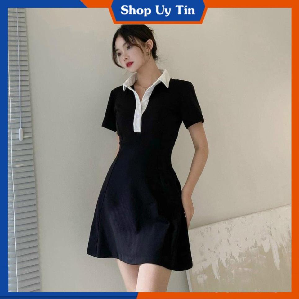 Váy Polo Nữ  Đầm Công Sở Trẻ Trung Thun Suông Ôm Body Thiết Kế Cao Cấp Đi Chơi Dự Tiệc Cưới Đẹp Sang Trọng VD024 | BigBuy360 - bigbuy360.vn