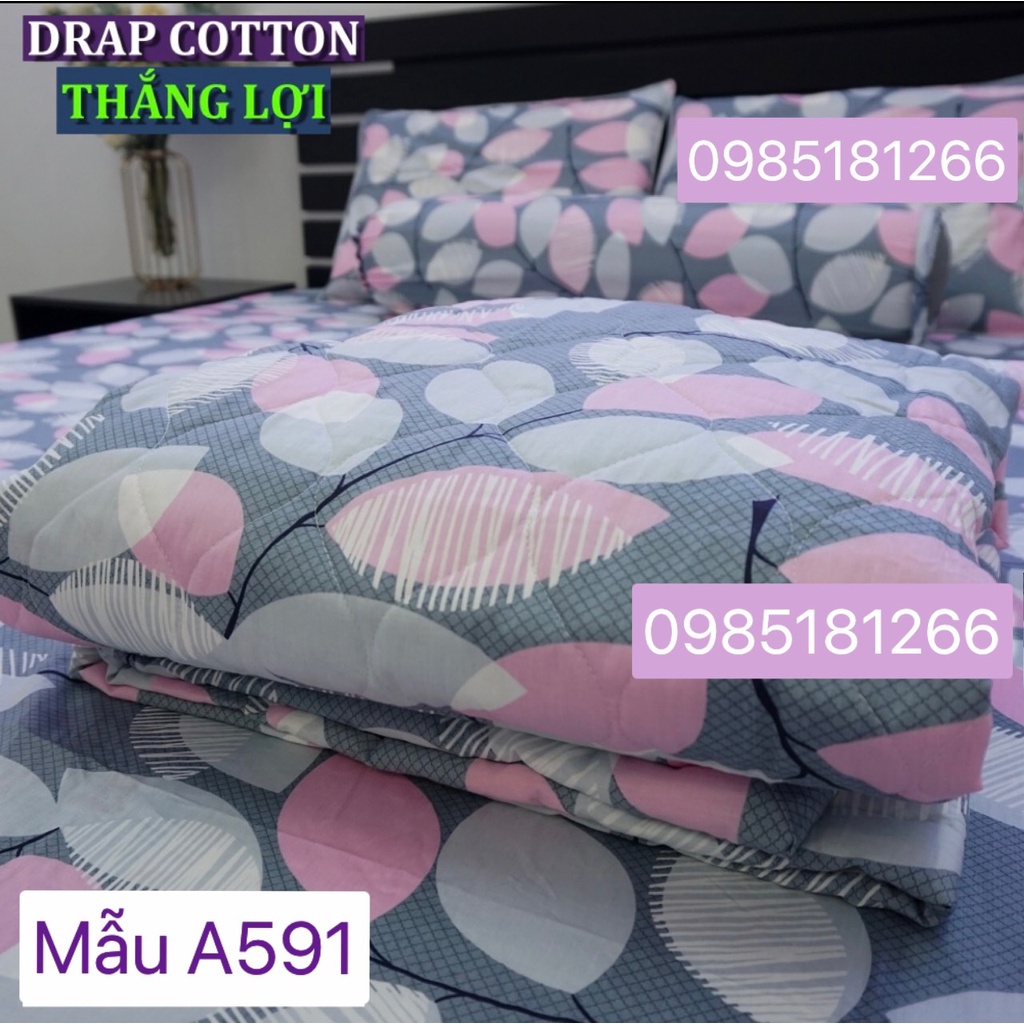 Bộ Drap Cotton 100% Thắng Lợi chính hãng IN LOGO THẮNG LỢI, giặt được bằng tay và máy (ảnh Thật)