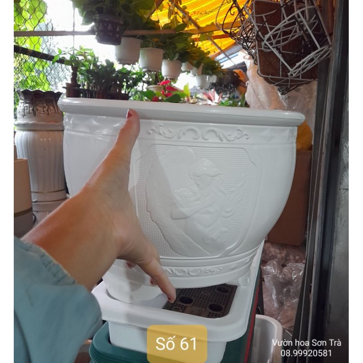 CHẬU NHỰA CỨNG đáy thấp.