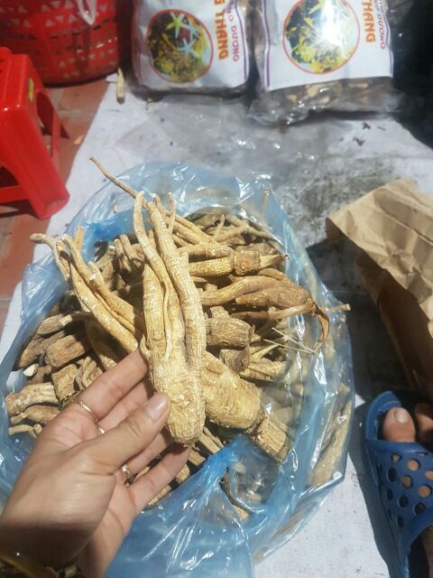 Củ linh chi đá Tam Đảo[1kg] củ Bạch Chỉ