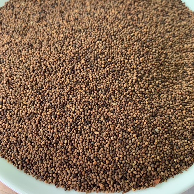 Thổ Ty Tử  500GRAM