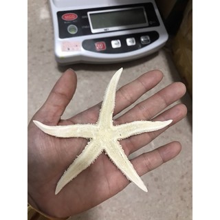 Combo Cá Ngựa Ngâm Rượu 300k