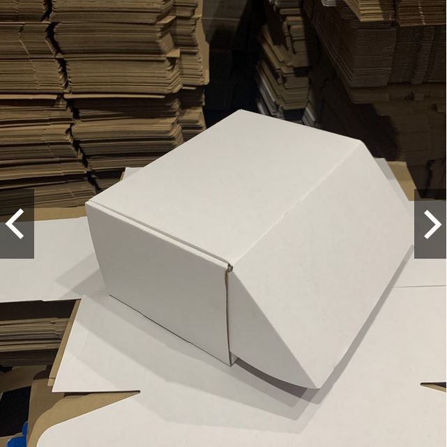 Freeship - 10 HỘP CARTON NẮP GÀI 21x13.5x10cm