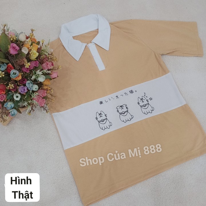 [ hình thật ở cuối ] Áo Thun Polo Unisex Tay Lỡ Form Rộng in hoạ tiết hoạt hình Mèo Con Cute và đáng yêu M0109