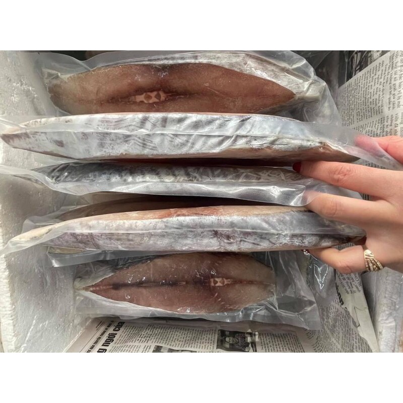 Cá thu Nhật chuẩn xịn loại 1 🦭🐠 thơm ngon ngọt thịt