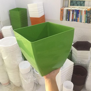 Chậu Nhựa Vuông Bầu Size 26x26cm