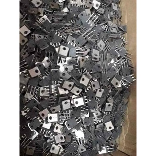 Combo 20 con D718 chân dài lưng đồng