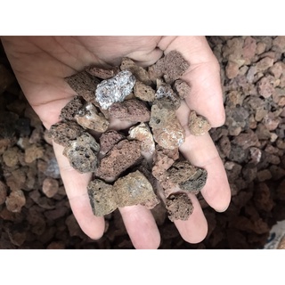 Vật liệu lọc bể cá- Nham Thạch Việt Nam Size Nhỏ (100Gram)