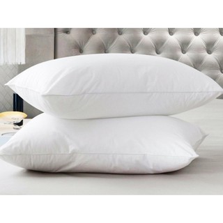 2 CÁI GỐI HƠI CAO CẤP