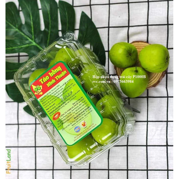 Hộp nhựa trong đựng 1kg trái cây P1000B