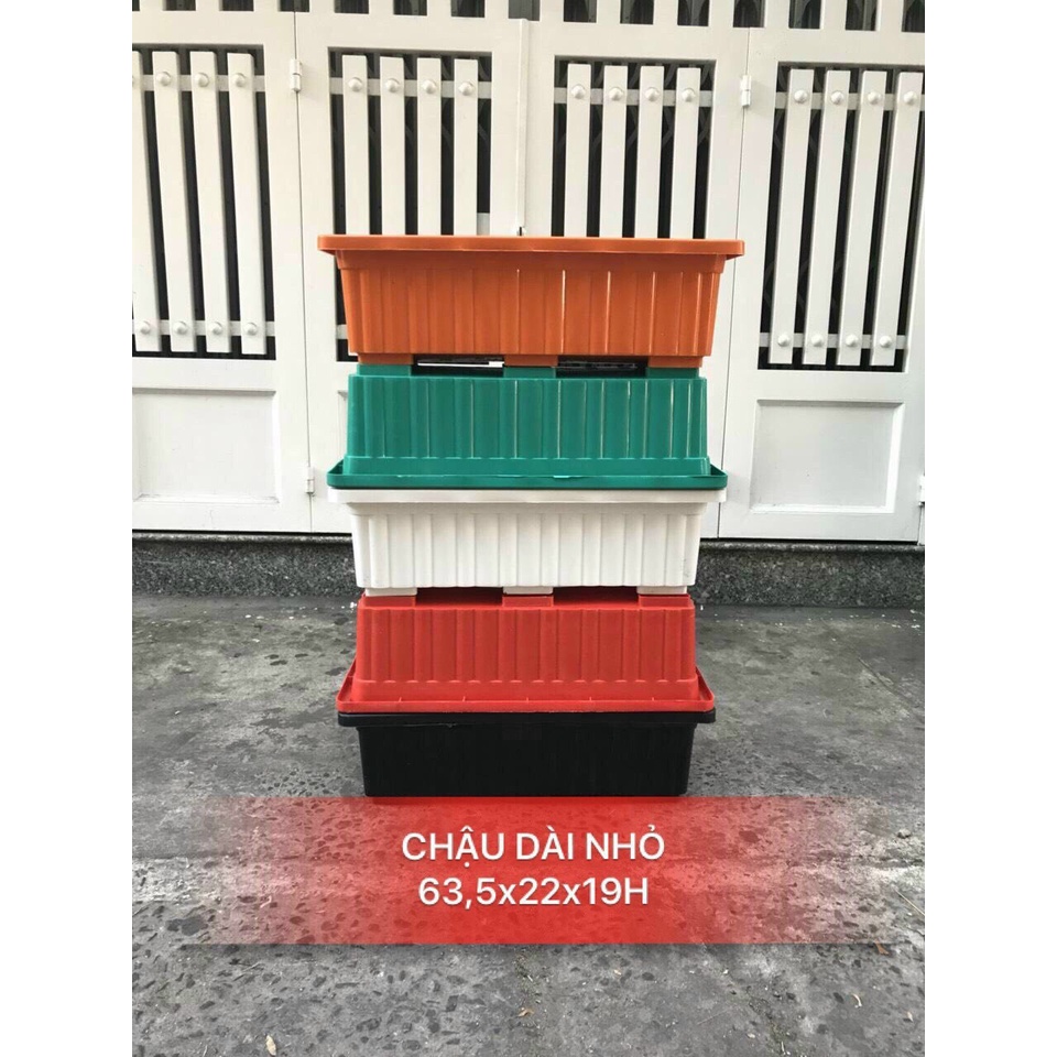 HOẢ TỐC COMBO 5 Chậu Nhựa Thông Minh Trồng Rau Sạch (KT: 63.5cm x22cm x19cm)