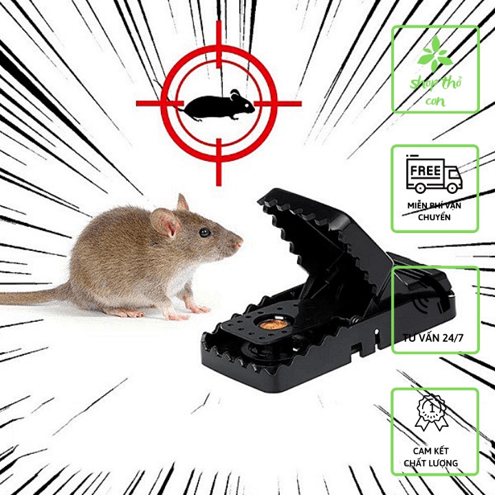 Bấy chuột thông minh cạm bẫy chuột thông minh bằng nhựa
