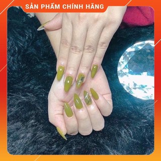 MÓNG ÚP HSM FORM BẦU NHÁM TRONG, ĐỤC 500 MÓNG