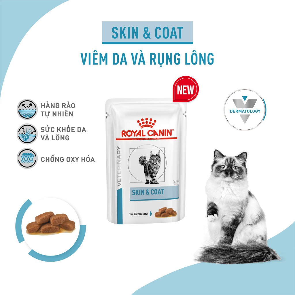 ROYAL CANIN SKIN &amp; COAT - THỨC ĂN HẠT HỖ TRỢ MÈO BỊ VIÊM DA VÀ RỤNG LÔNG